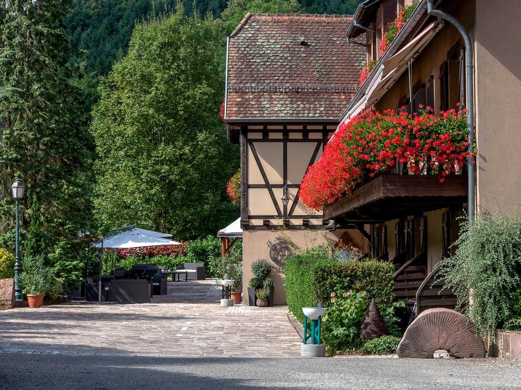 Hotel Domaine Le Moulin Ottrott Exterior foto